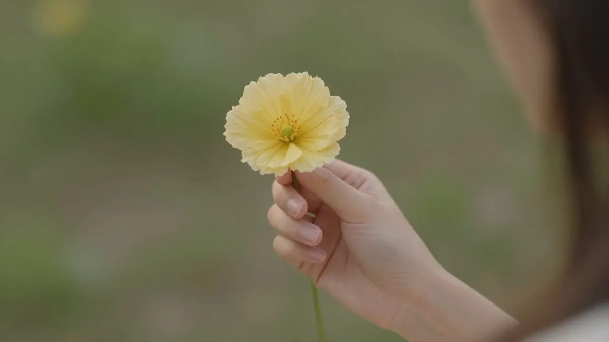 Mão feminina segurando uma flor delicada, simbolizando alívio e cuidado.