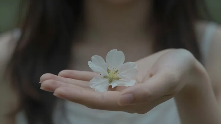 Mulher com flor, intimidade e cuidado.